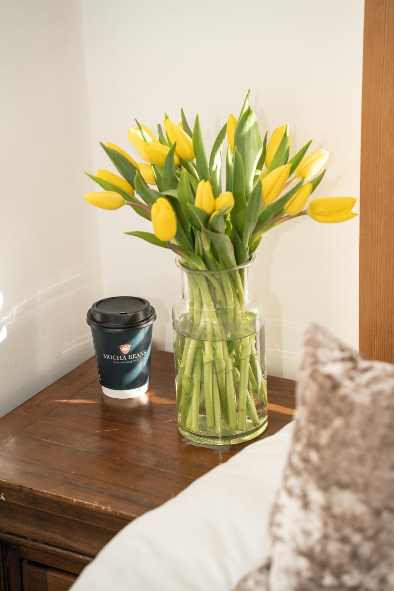 Mocha Newcastle Bed & Breakfast Galway Eksteriør bilde